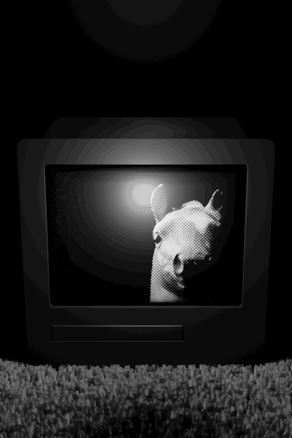 Alex saw a horse on a television screen.