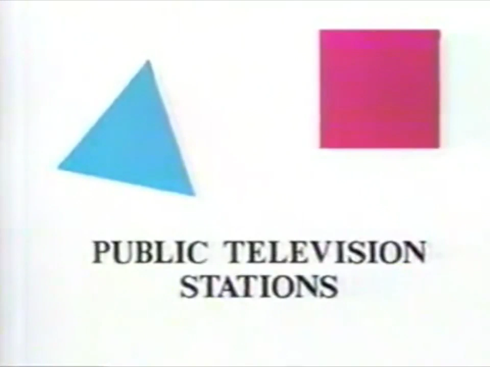 PBS is funded by public television stations.