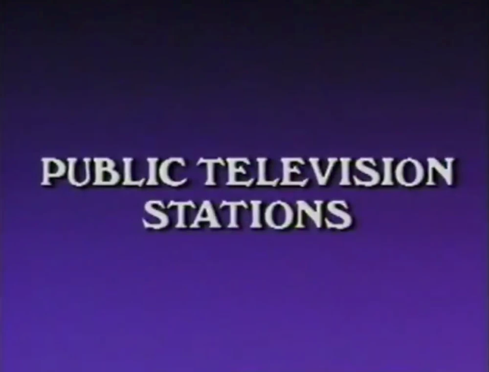 PBS is funded by public television stations.