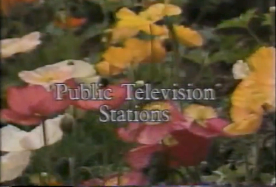 PBS is funded by public television stations.