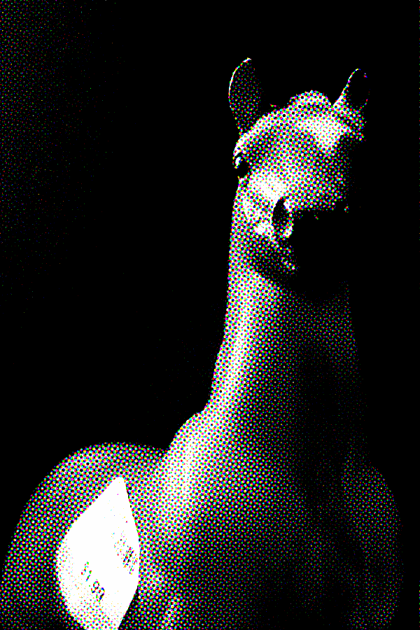 Alex saw a horse with a price sticker on its side.