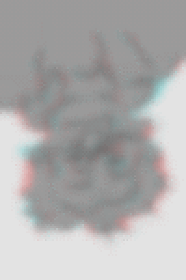 There was a shape that looked kind of like Alex, if you squinted. It had an aura of color around it.