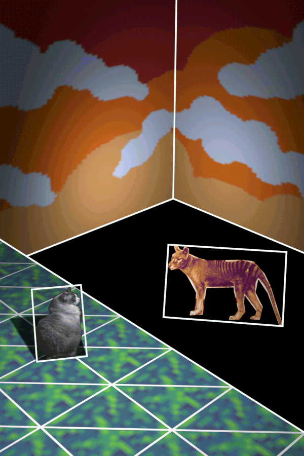 They continued to stand across from each other at an impasse.