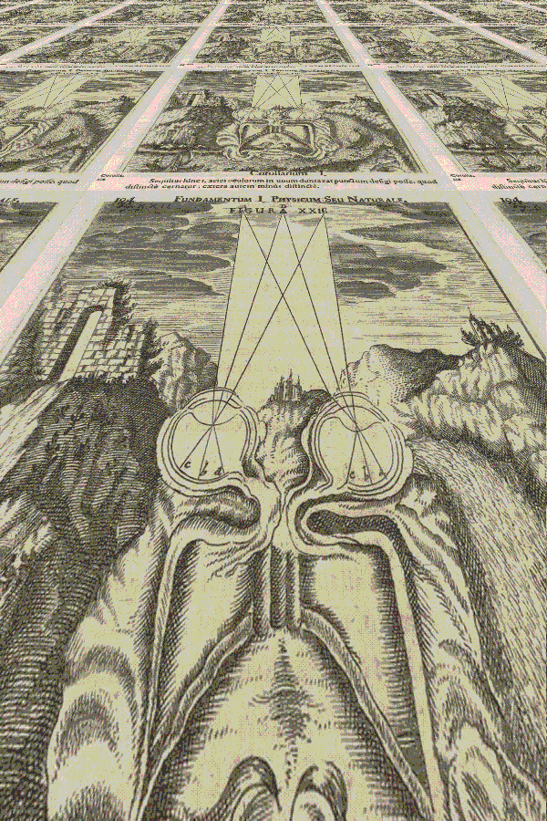 She imagined traversing an enormous field, with a floor patterned with ocular anatomy.