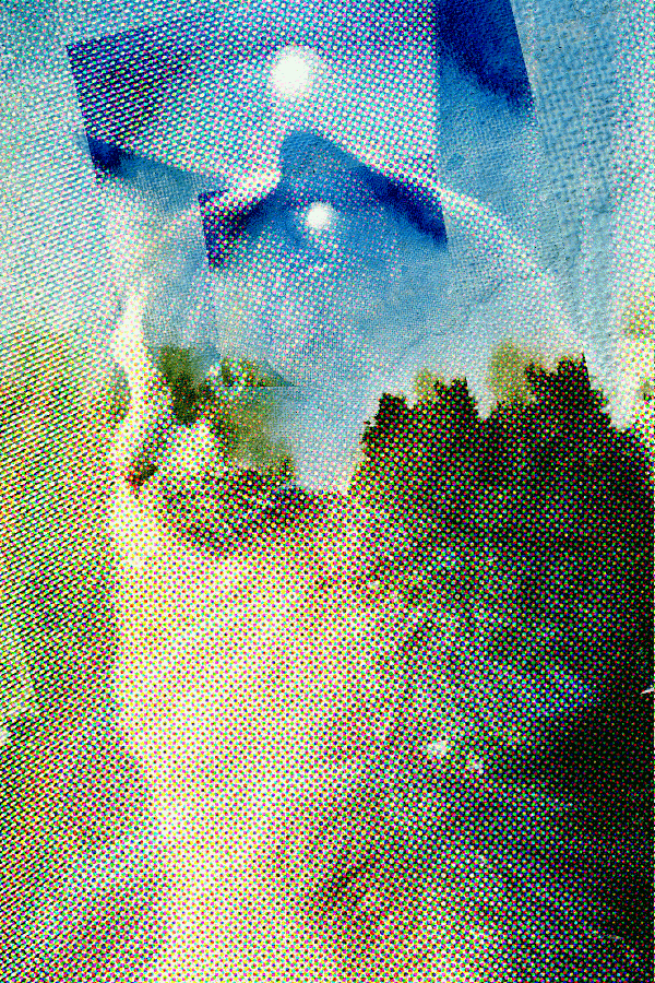 The sun bore down overhead. Alice could faintly remember the image of the cat.