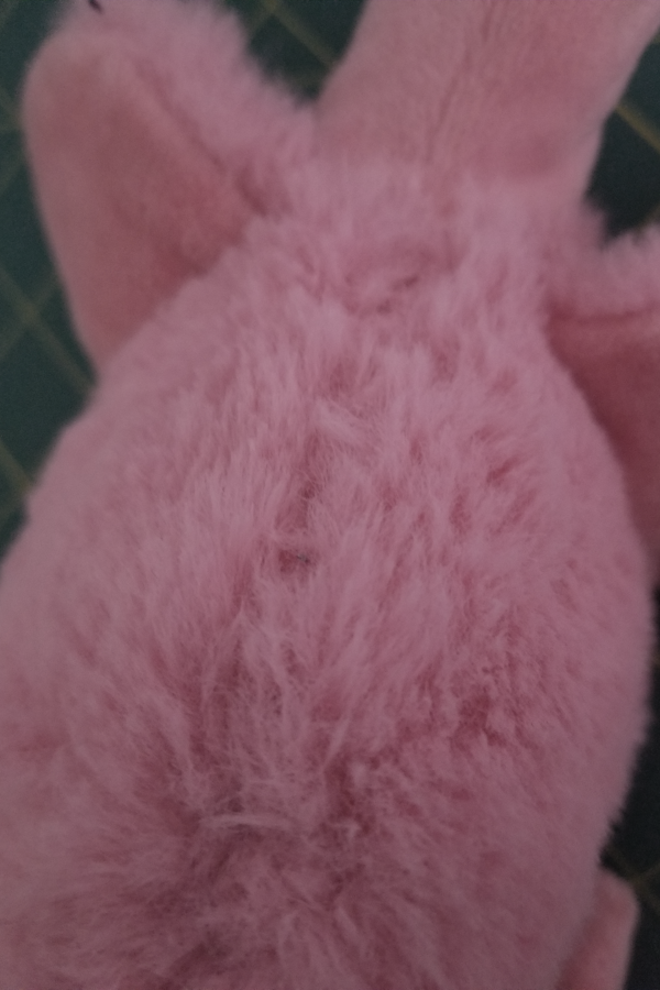 IMG: The flamingo’s back, with a barely-visible mend.