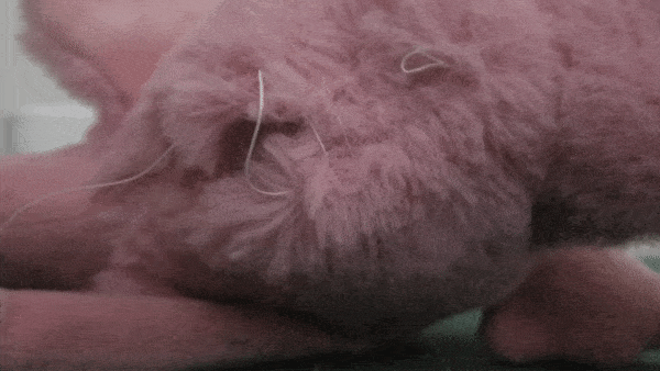 IMG: An animation of the thread being pulled tight.